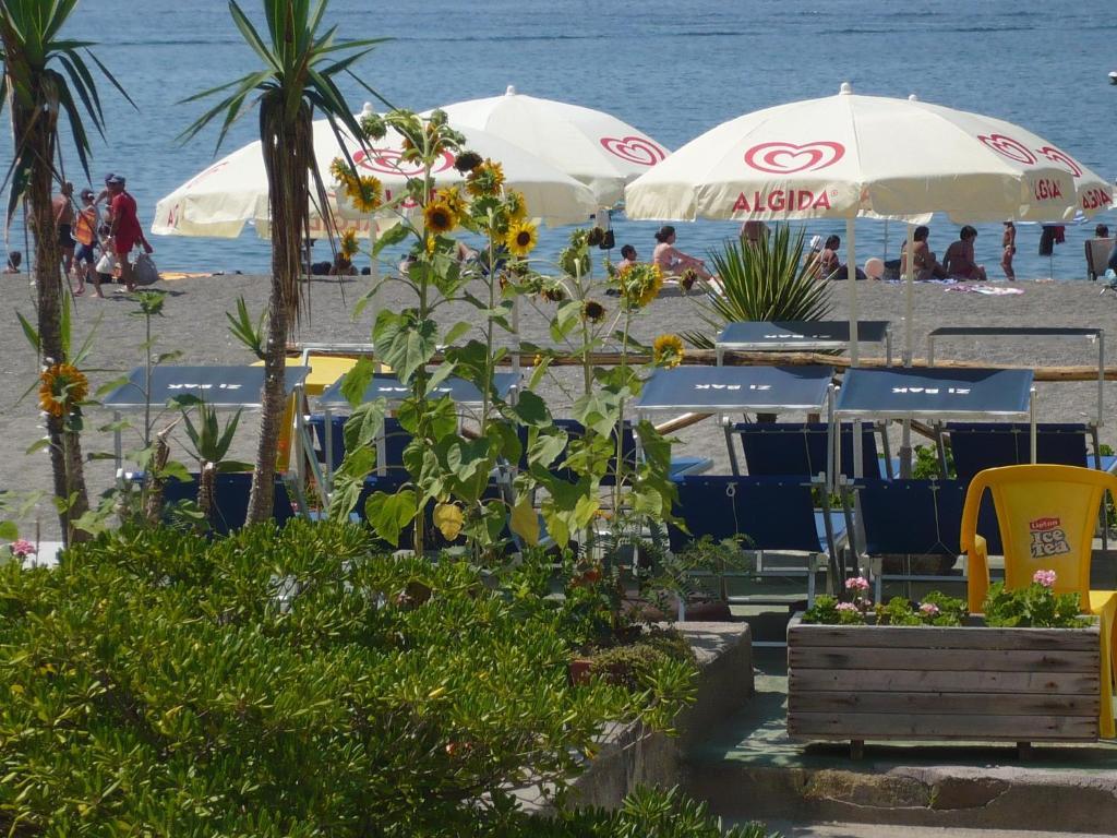 Bed and Breakfast Zi Bak Barano dʼIschia Exteriér fotografie